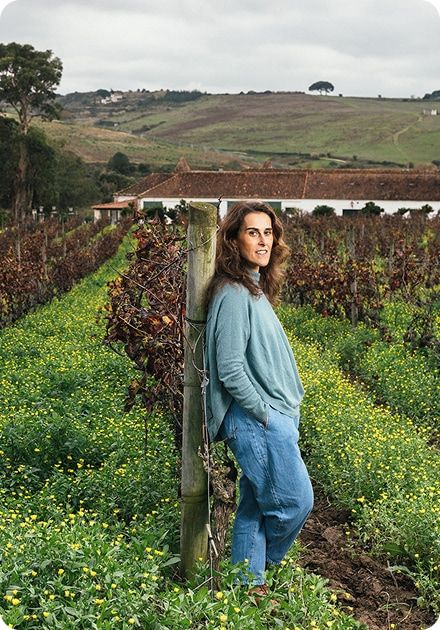 A woman in a teal sweater and jeans leans against a vineyard post, surrounded by yellow wildflowers, with a farm building and hills in the distance.