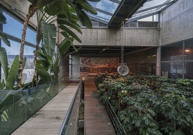 A modern indoor atrium with concrete walls, glass roof, wooden walkways, tall tropical plants, a dense garden, and a colorful mural.